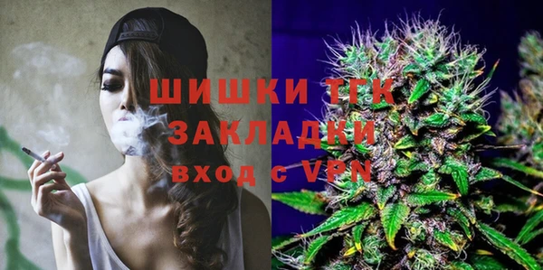 PSILOCYBIN Слюдянка