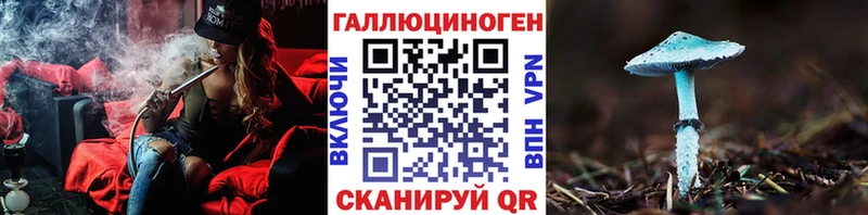 Псилоцибиновые грибы Psilocybe  наркота  Саки 